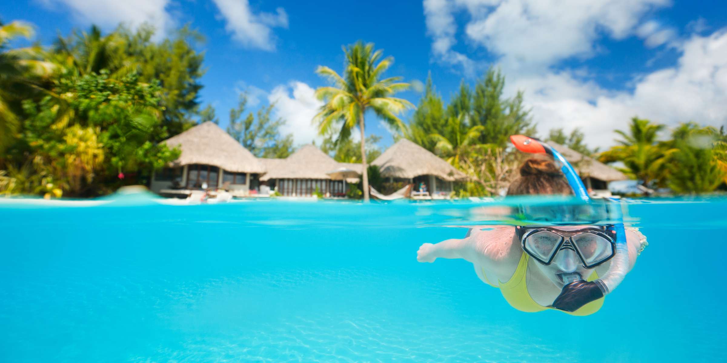 Find the Best Scuba Diving In Tahiti Coral Reefs, Turtles and Dolphins