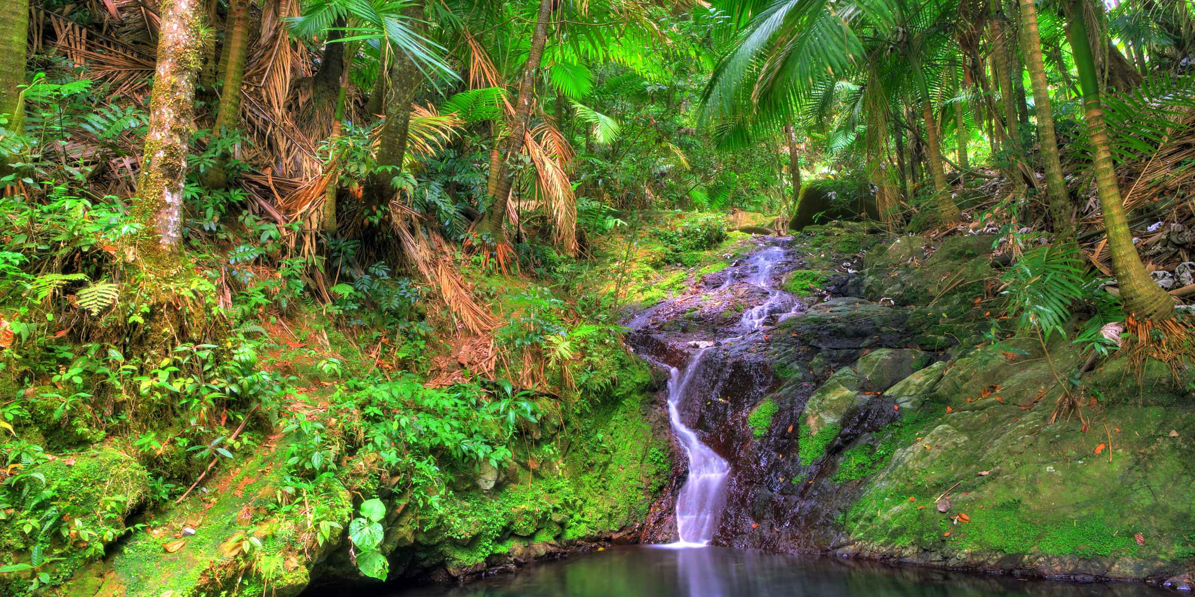 Puerto Rico Vacation Packages All Inclusive Resorts In Puerto Rico