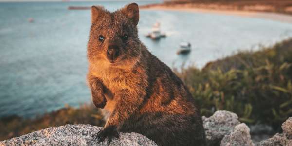 Australia Vacations