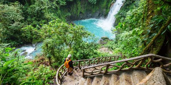 Escorted Tours