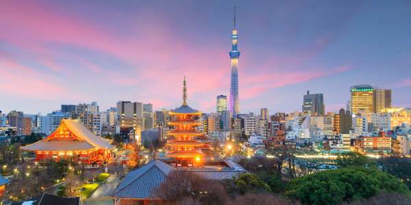 Escorted Tours
