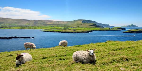 Ireland Vacations