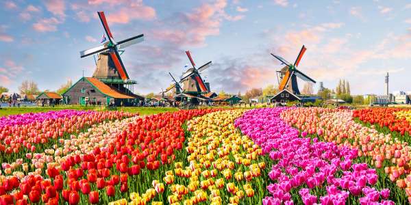 Spring Break Getaways