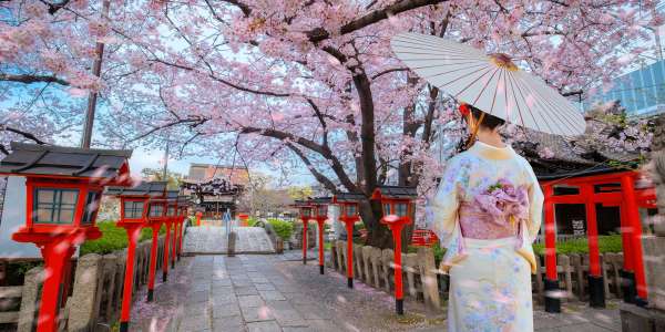 Escorted Tours