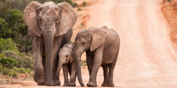 South Africa