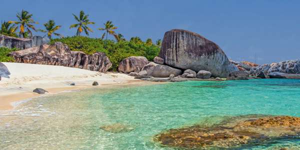 Cruise Deals