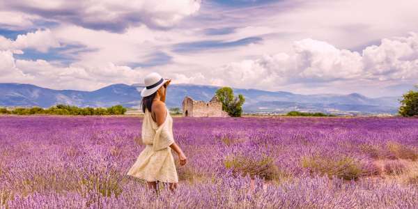 Dunhill Travel Deals