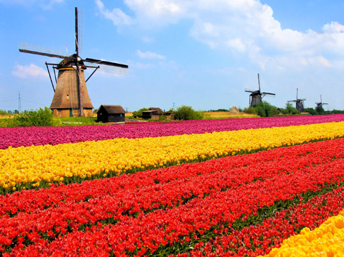 8-day Tulip Time River Cruise