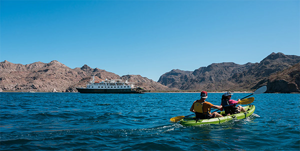 Baja California's Whales and Sealife