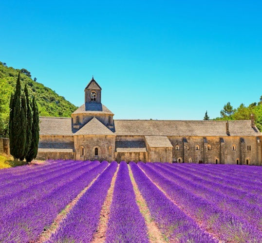 Discovering the Culinary and Cultural Delights of Provence